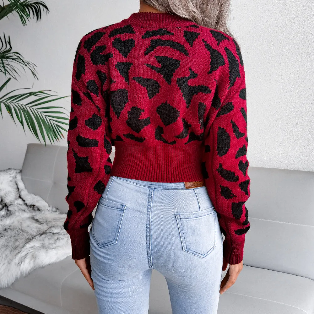 Abstract Print Ribbed Trim Long Sleeve Sweater