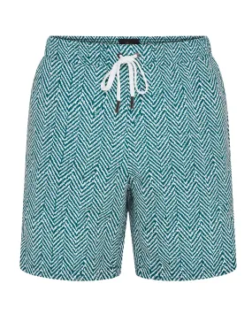 Brioni Quick Dry Stripe Swim Shorts (Petrol Blue)