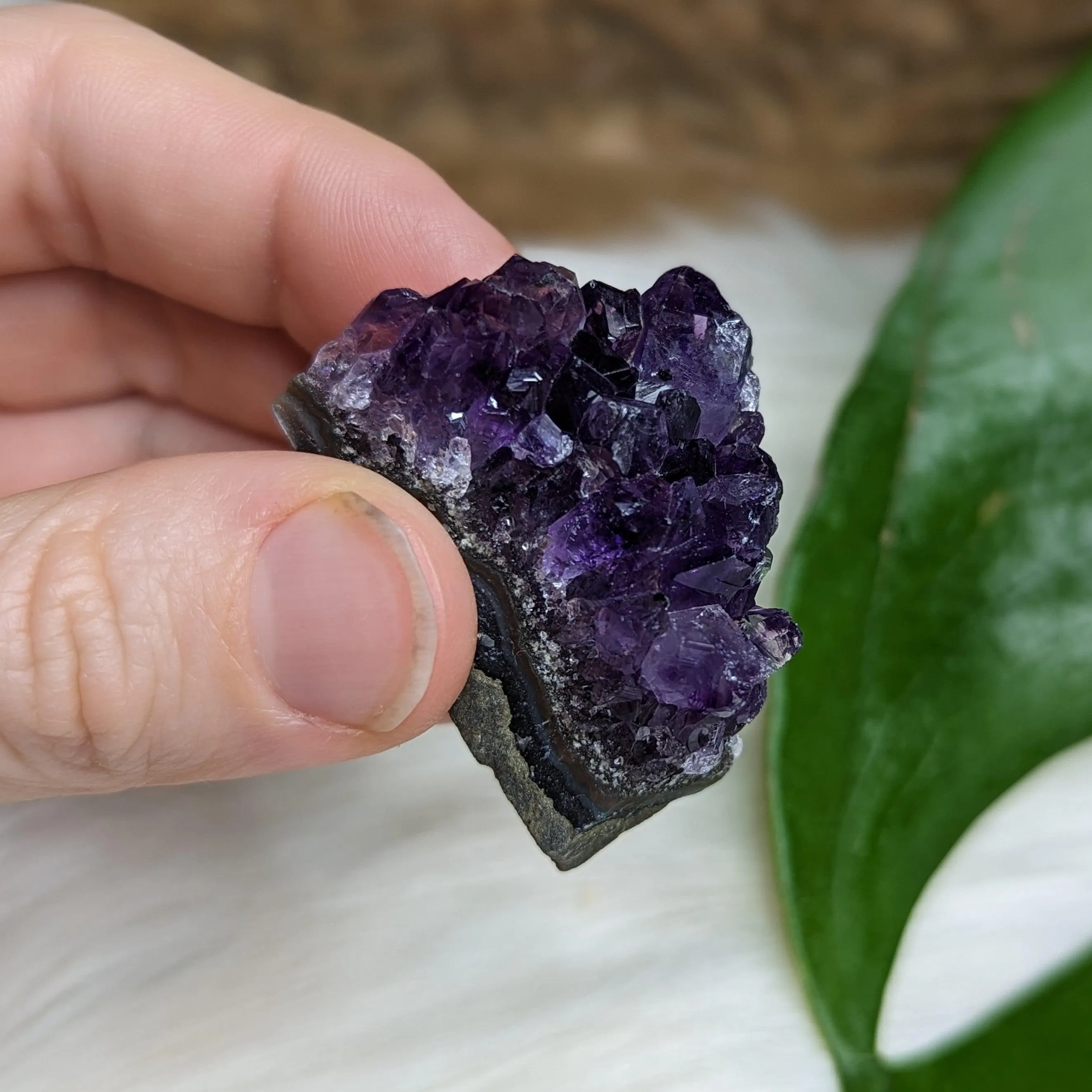 Gemmy Dark Purple Amethyst Druzy Chunks