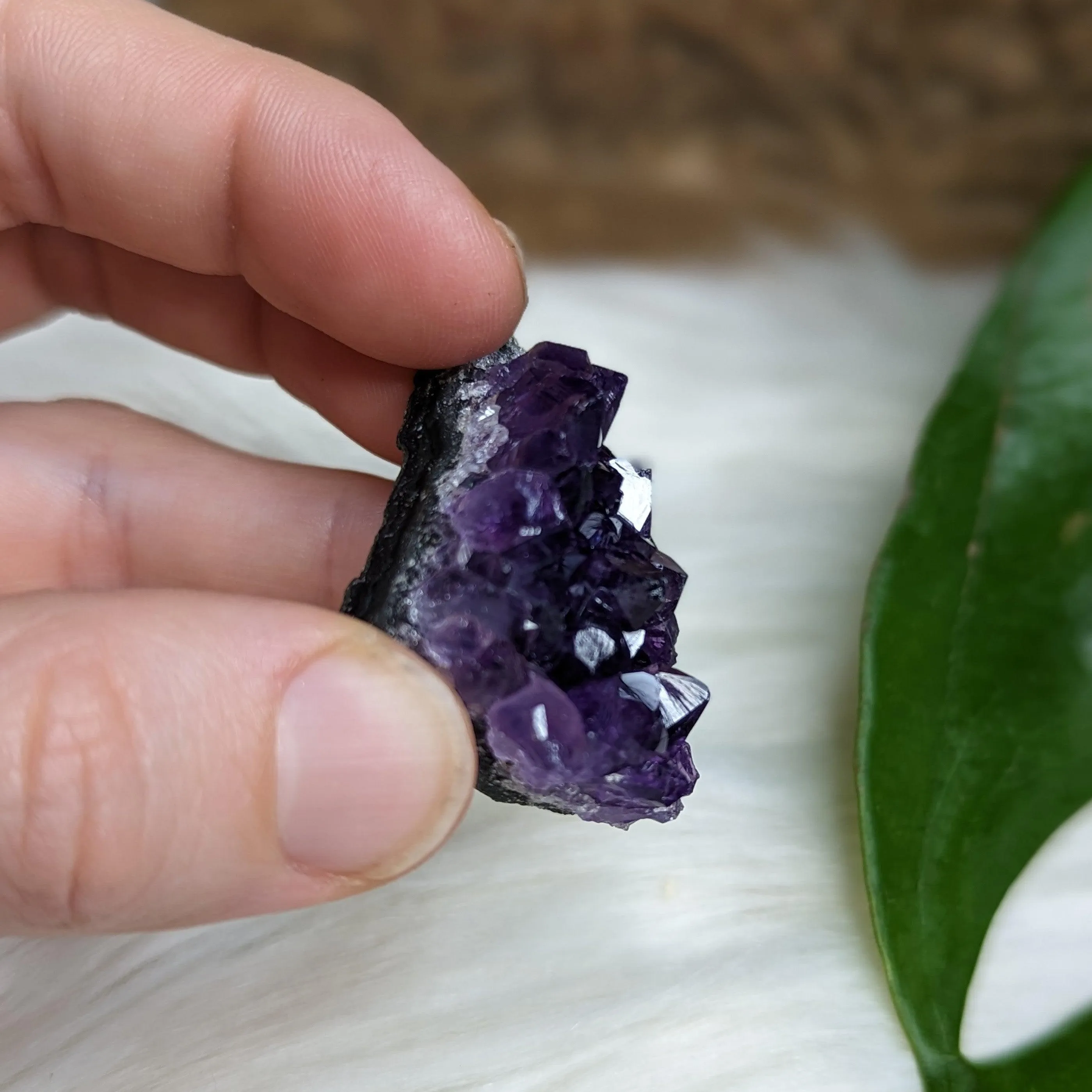 Gemmy Dark Purple Amethyst Druzy Chunks