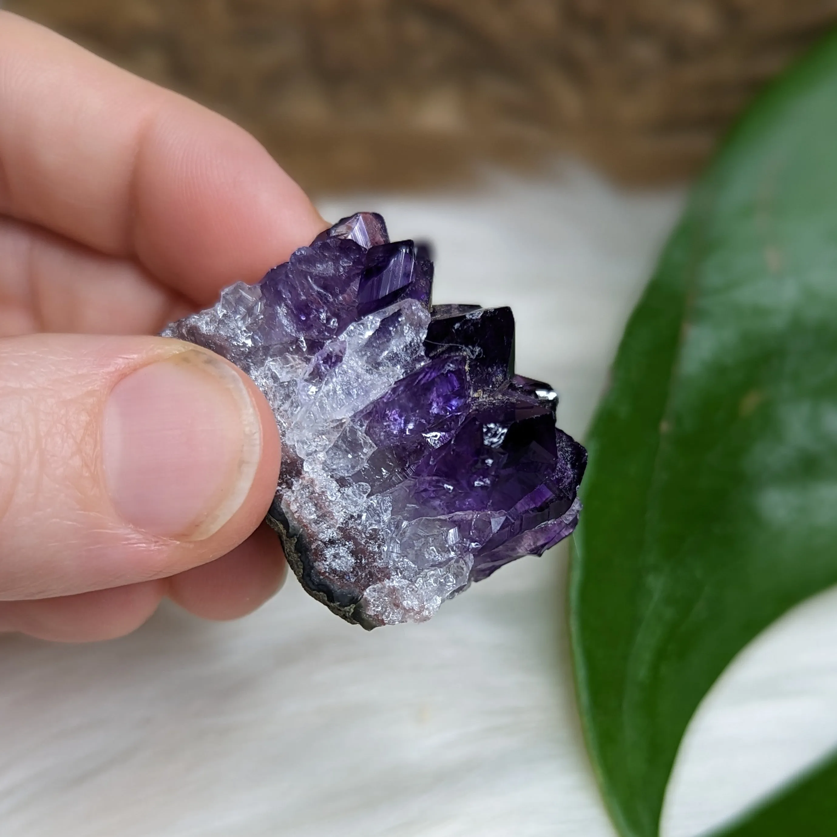 Gemmy Dark Purple Amethyst Druzy Chunks