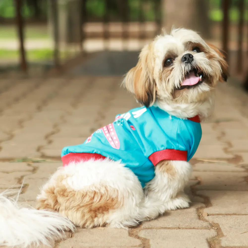 I'm a Star Dog T-shirt