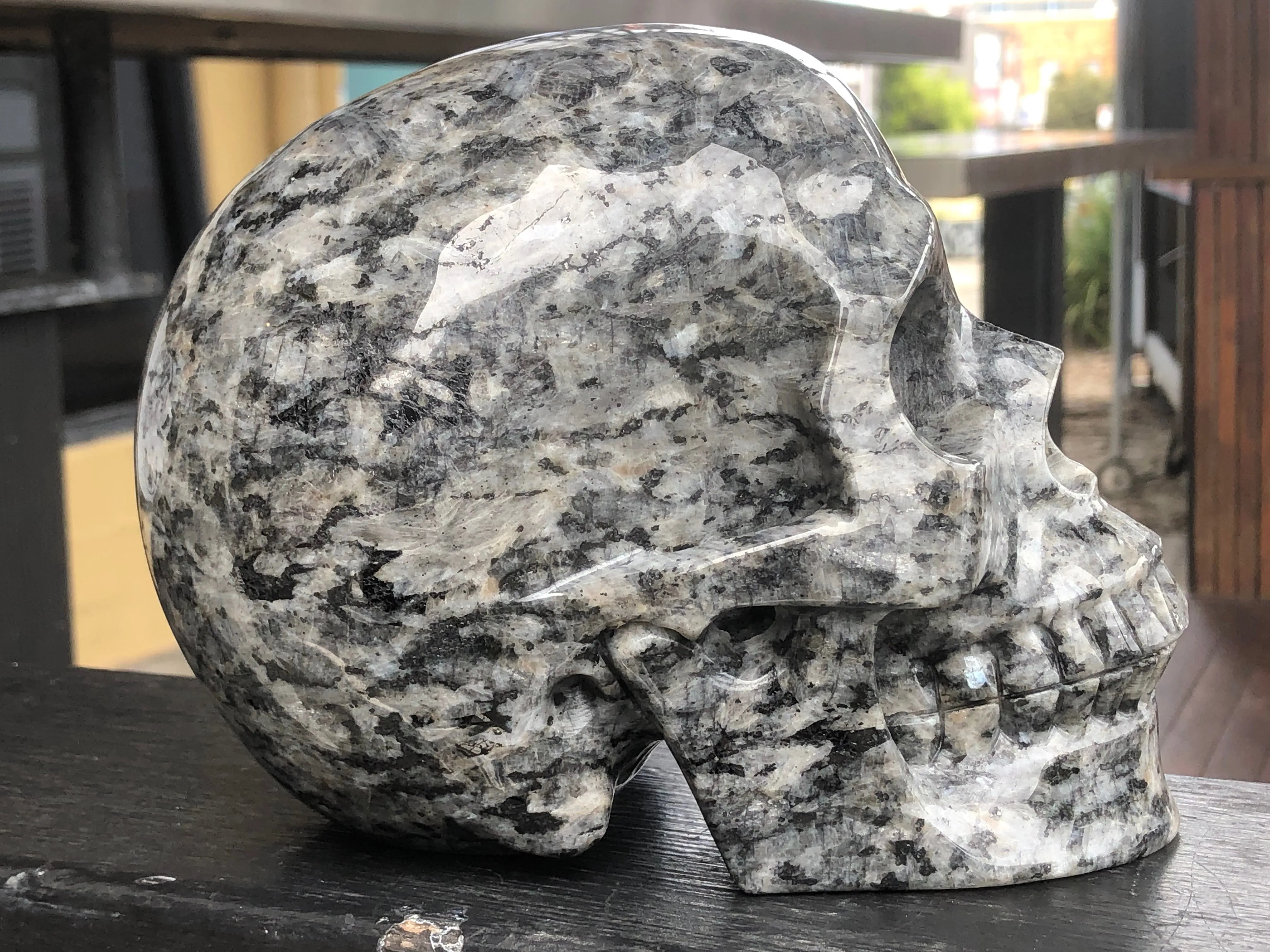 Larvikite Skull [1k1378]