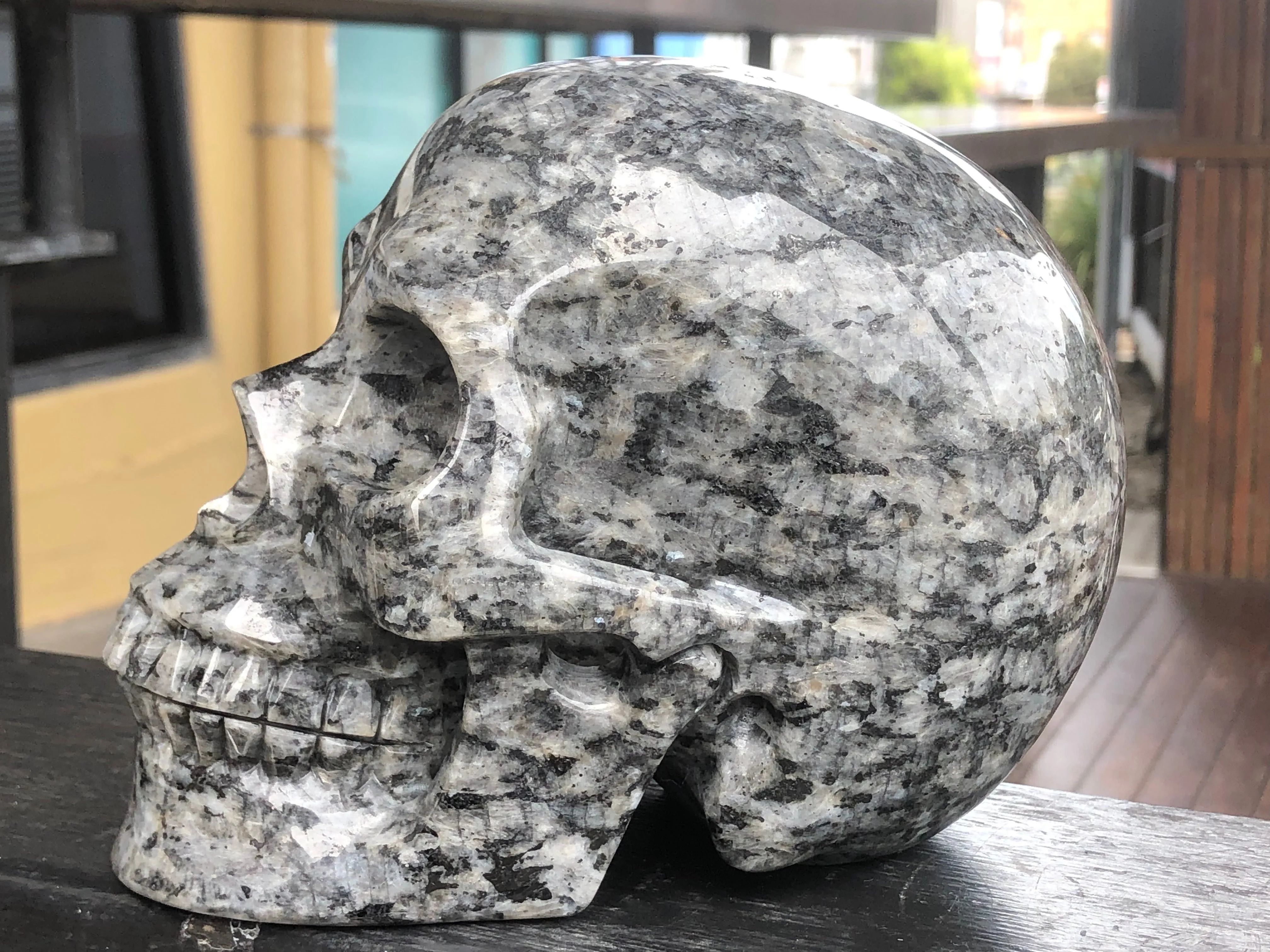 Larvikite Skull [1k1378]