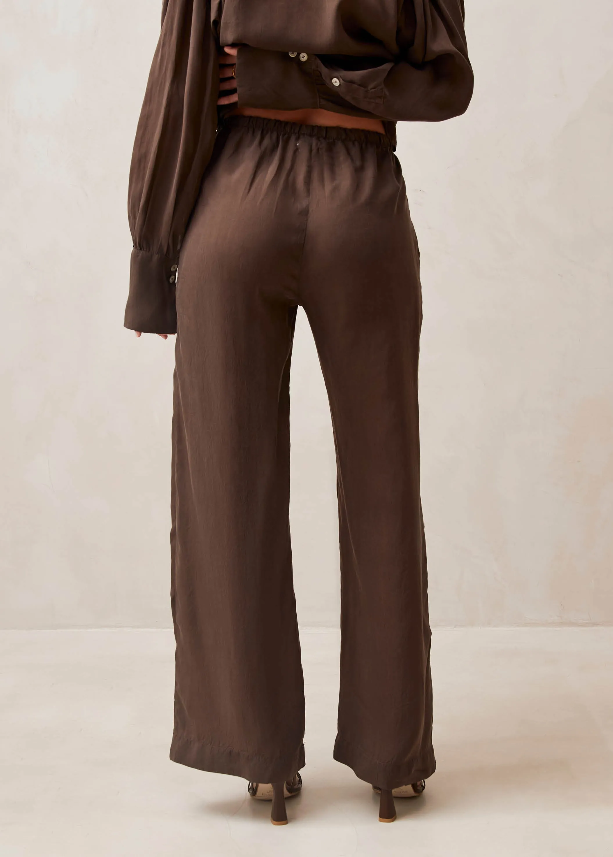 Sea Brown Pants