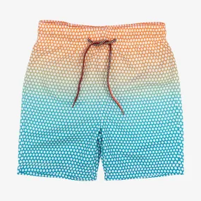 Swim Trunks | Dots