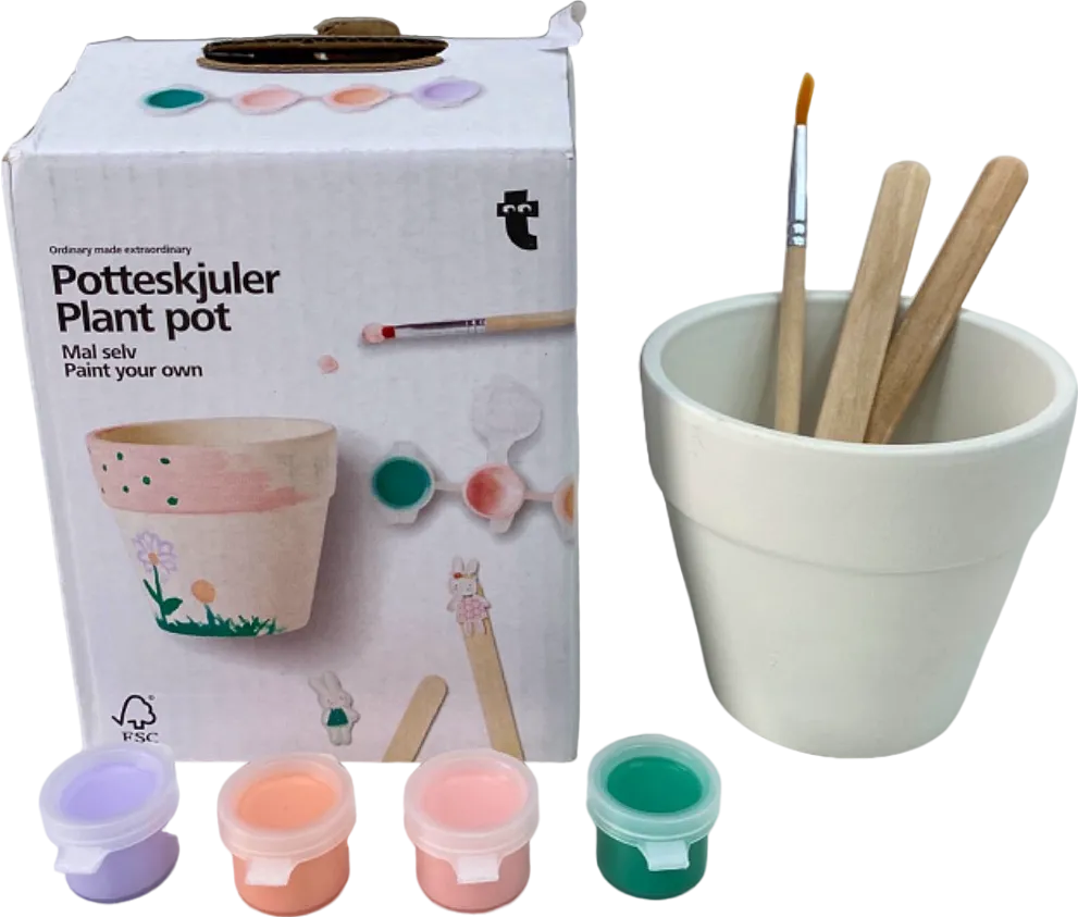 Tiger Potteksjuler Paint Your Own Plant Pot Set